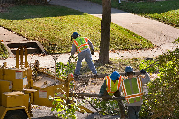 Best Tree and Shrub Care  in Putney, GA